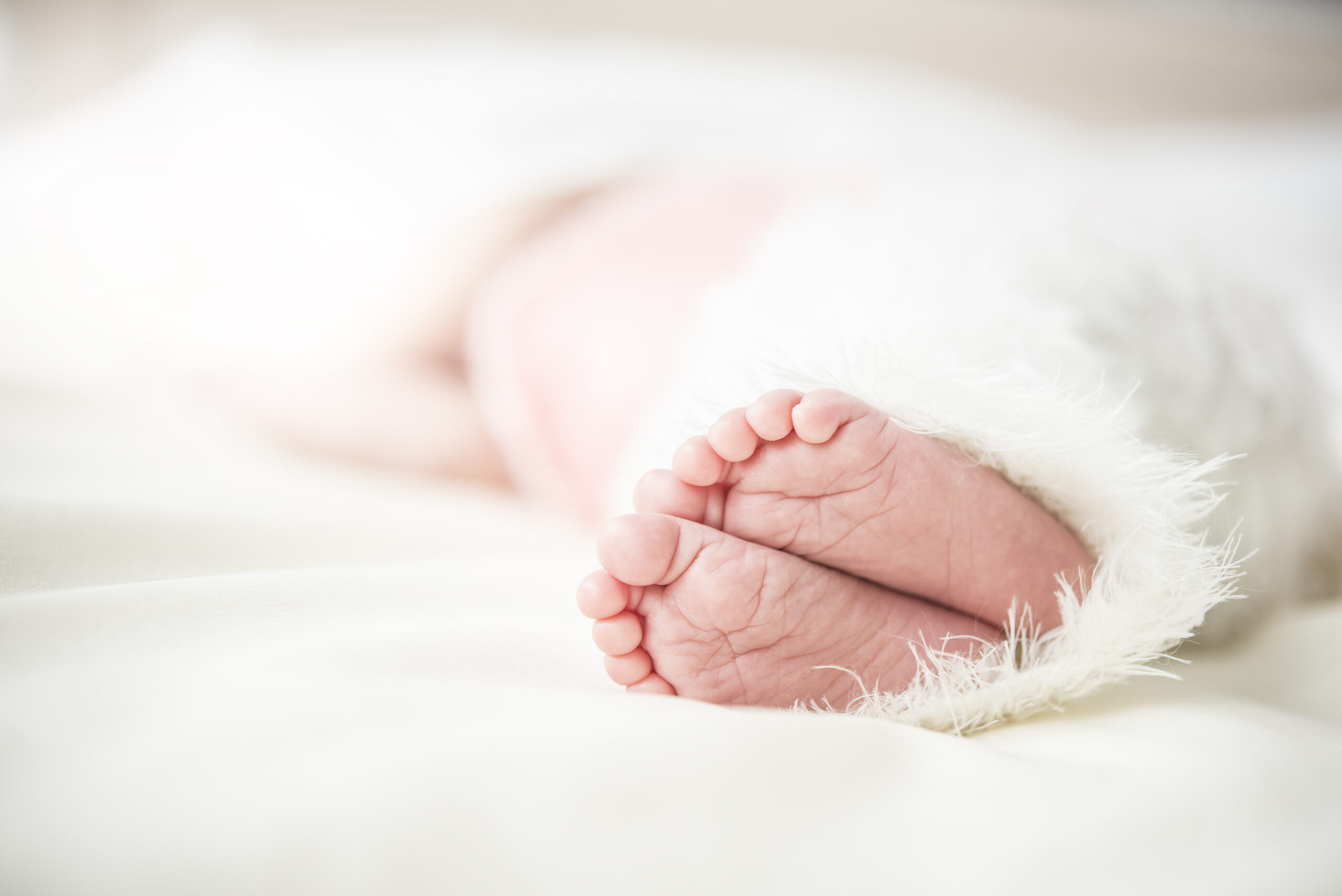 בן ציון אלול