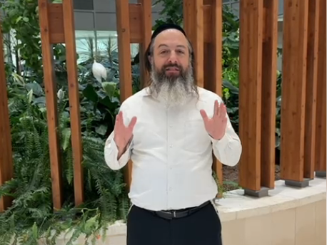 המלצת מנהל מחלקה בשערי צדק <br> פרופסור אלון אהרן